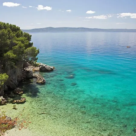 Nedika Hébergement de vacances *