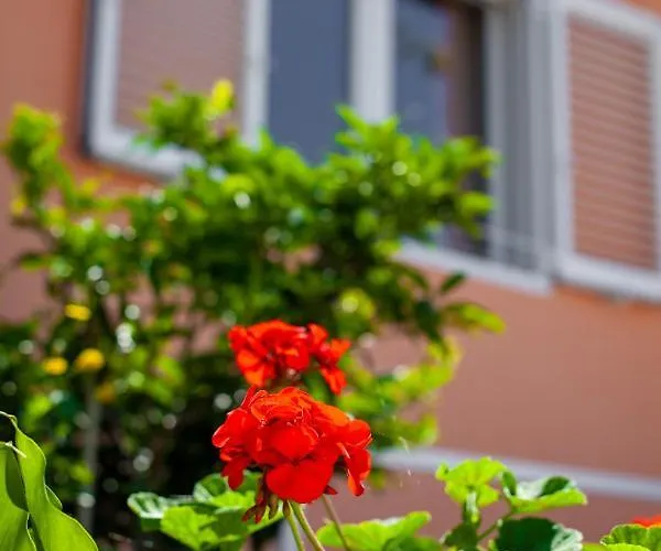 Feriehus Nedika Podgora (Split-Dalmatia)