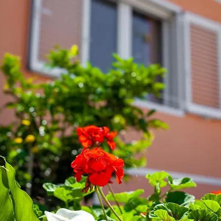 بيت للعطل Nedika بودغورا