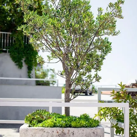 Nedika بودغورا