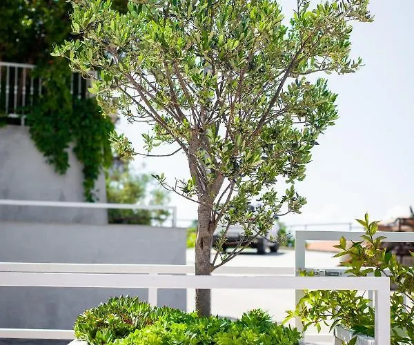 Nedika Podgora (Split-Dalmatia)